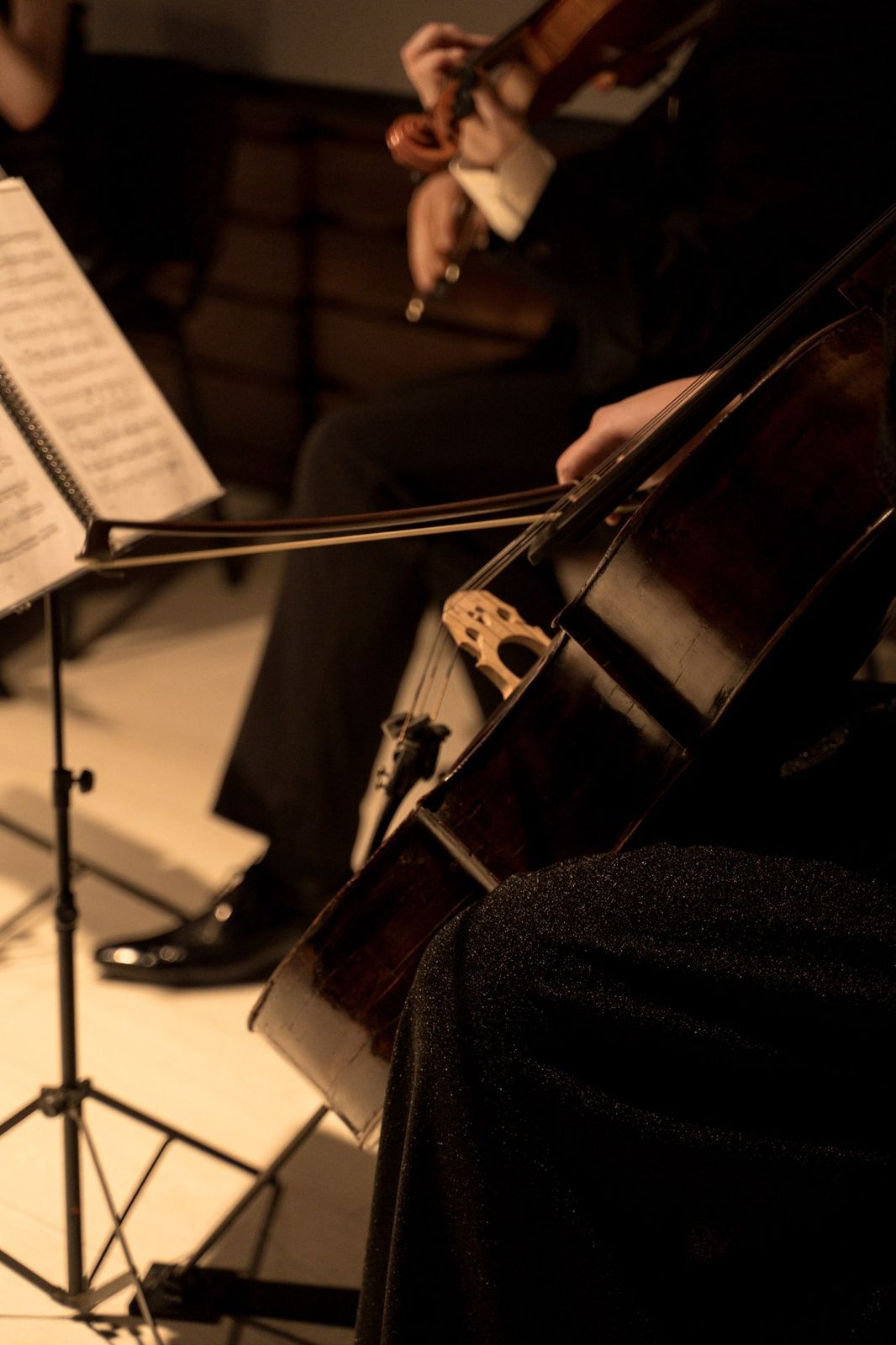 Виолончель крупно